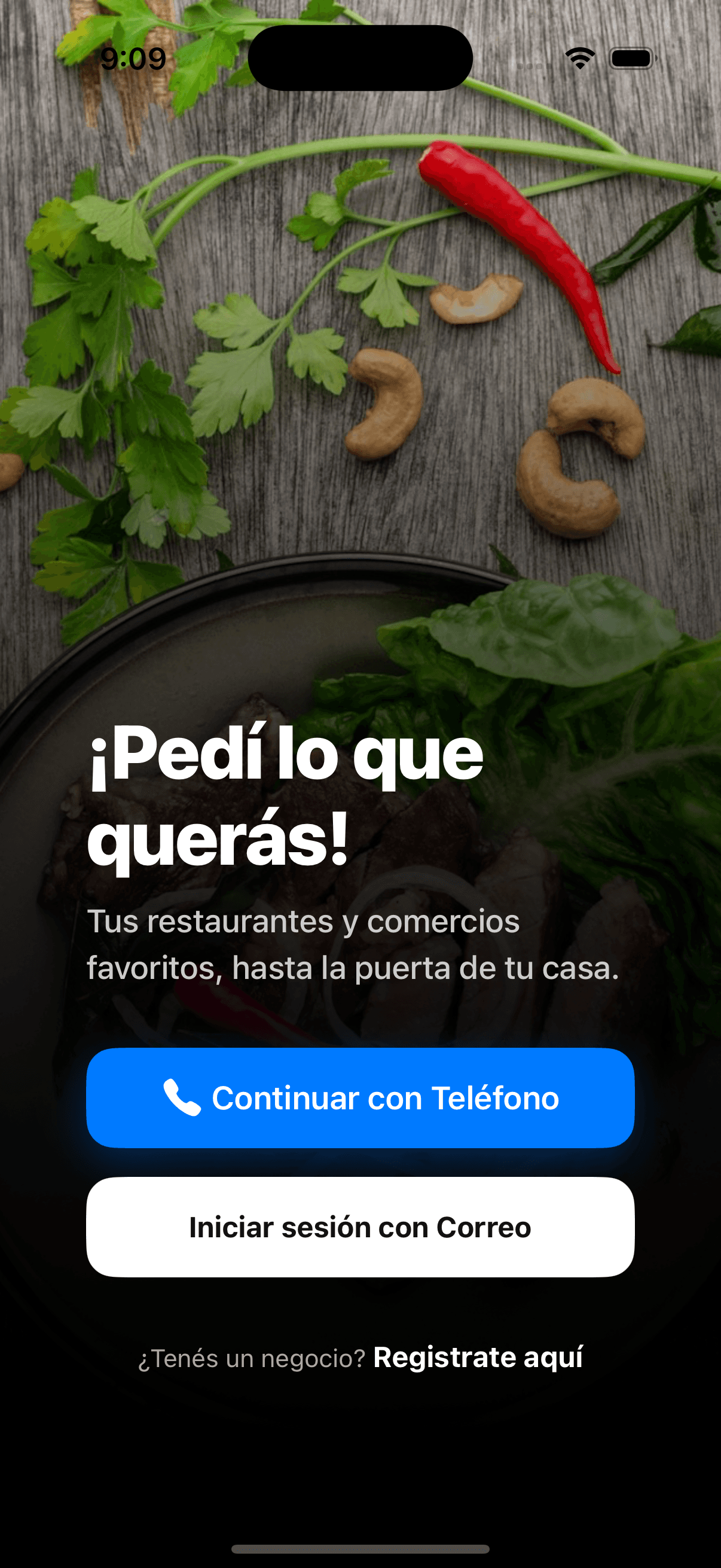 Pantalla de bienvenida de Localfy