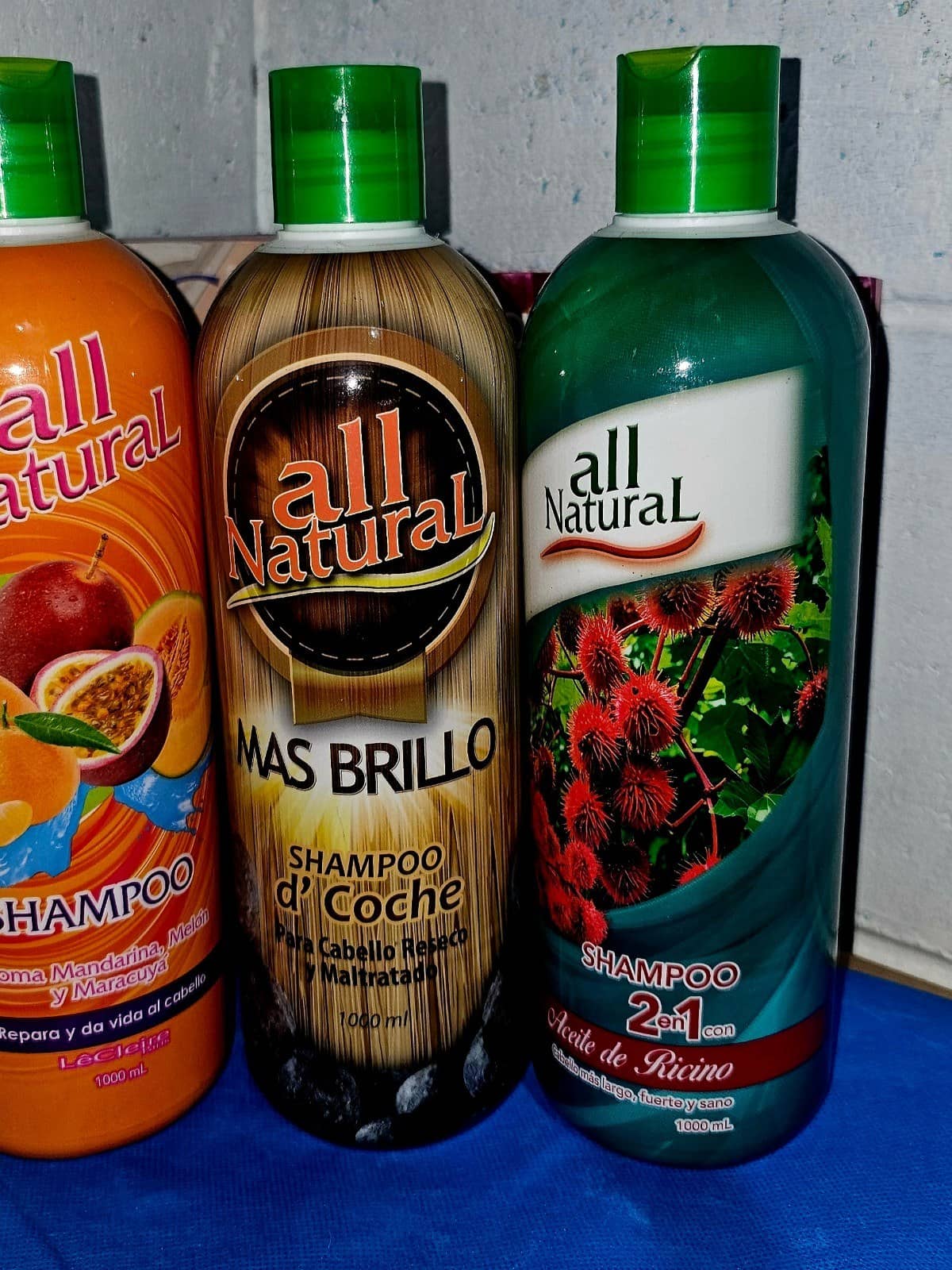 Shampoo All Natural 2 en 1