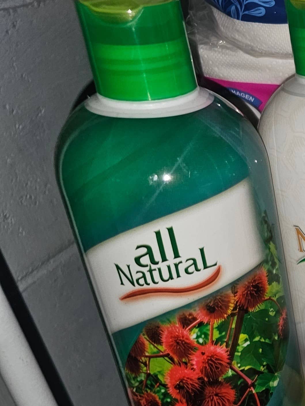 Shampoo All Natural 2 en 1