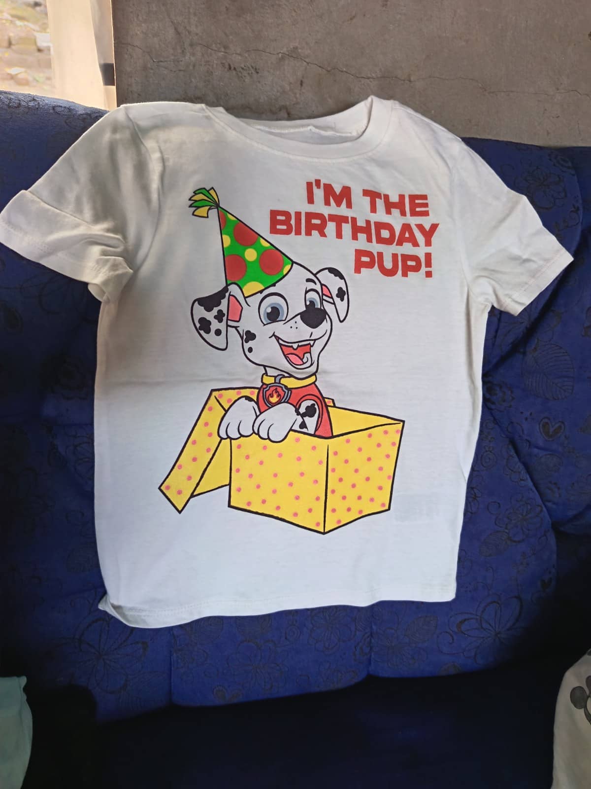 Camiseta Birthday Pup