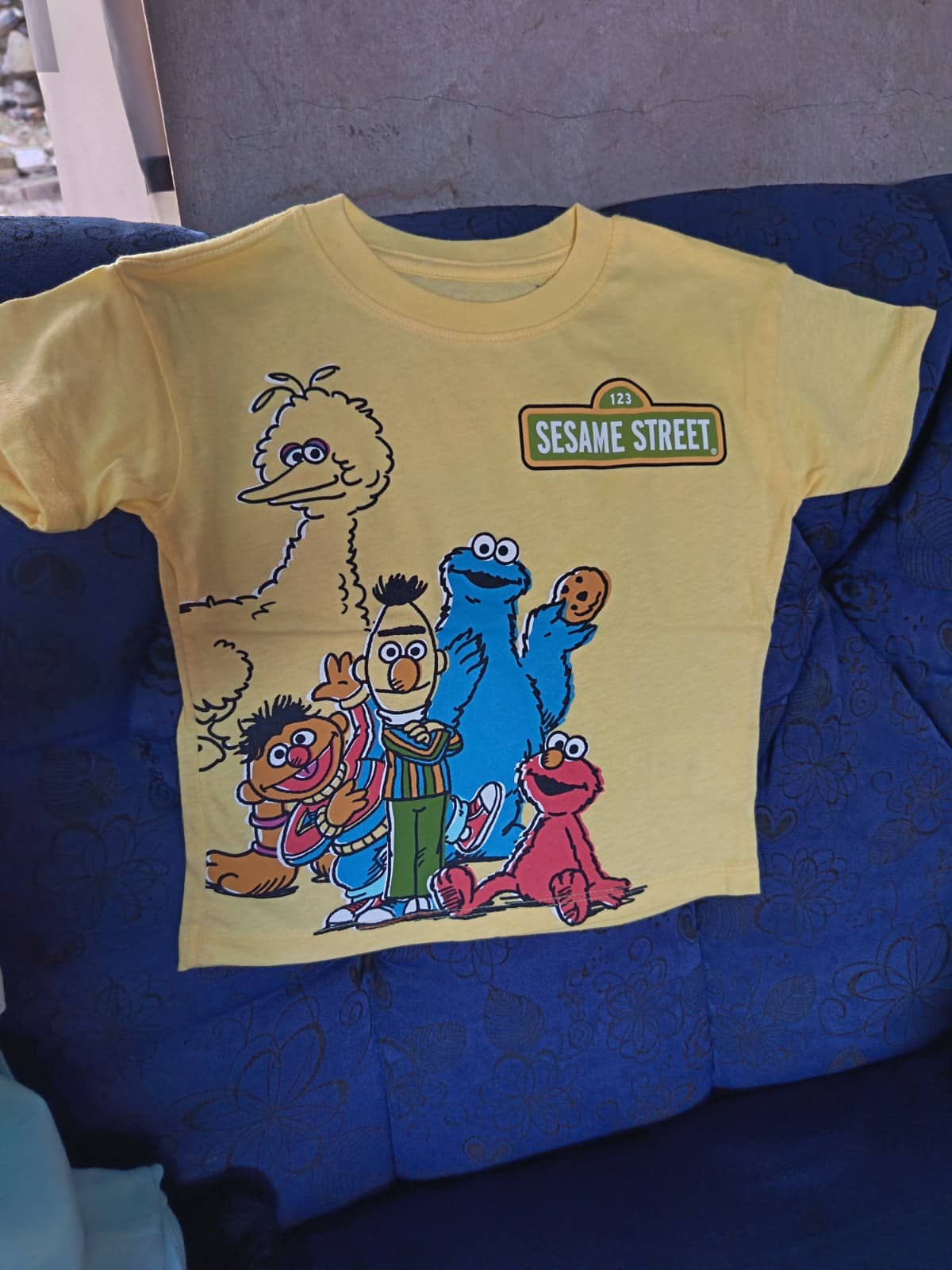 Camiseta Sesame Street