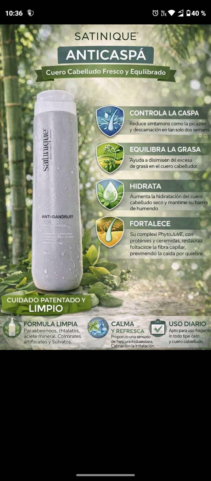 Champoo anti caspa