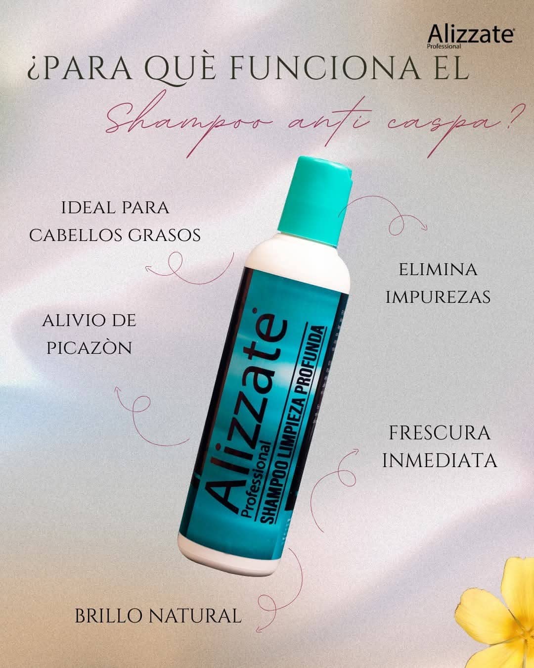 Alizzate Shampoo Anti Caspa