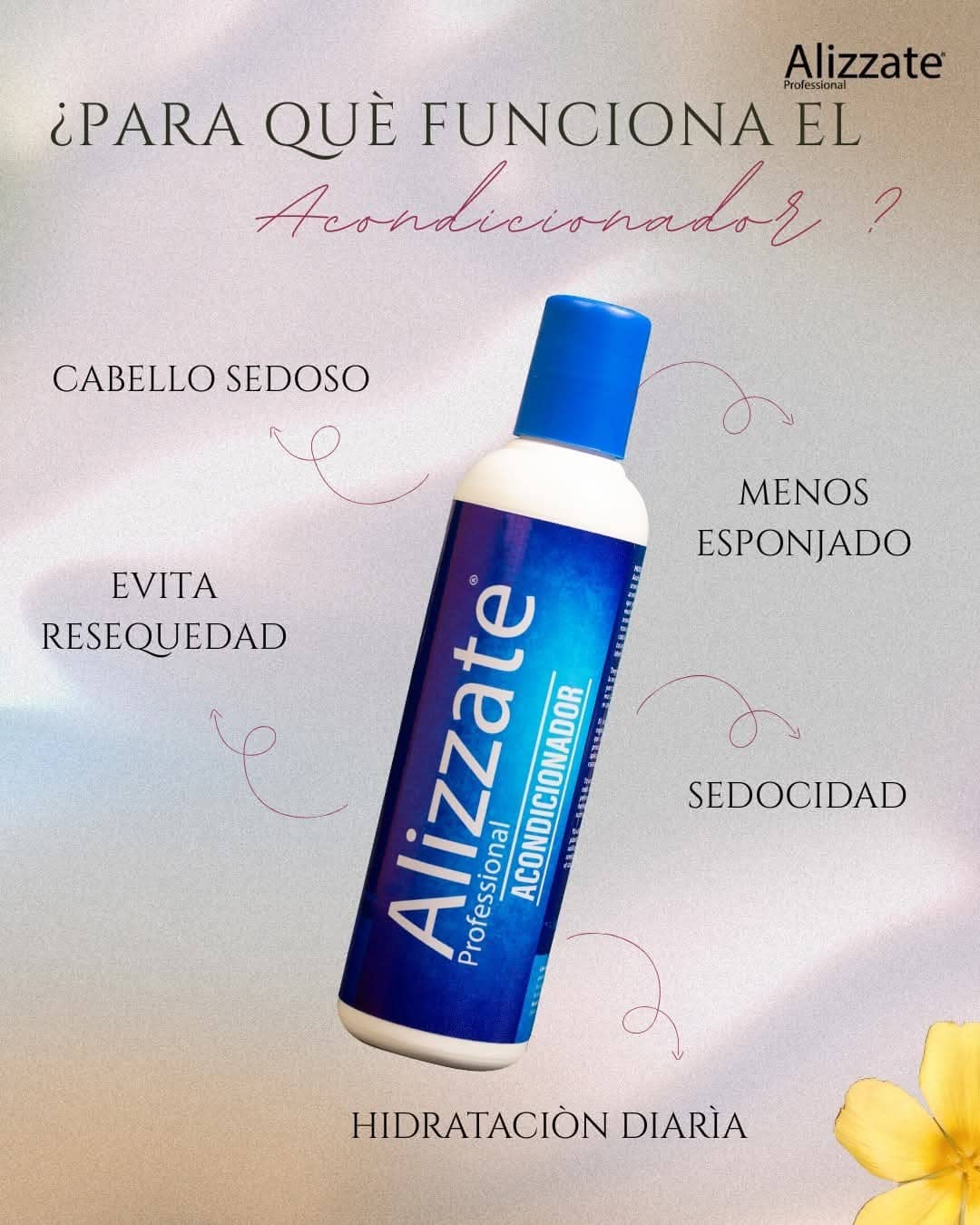 Alizzate Acondicionador Profesional