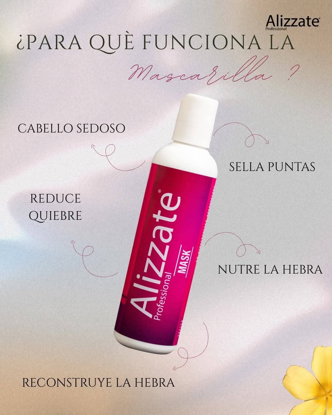 Alizzate Mascarilla Profesional