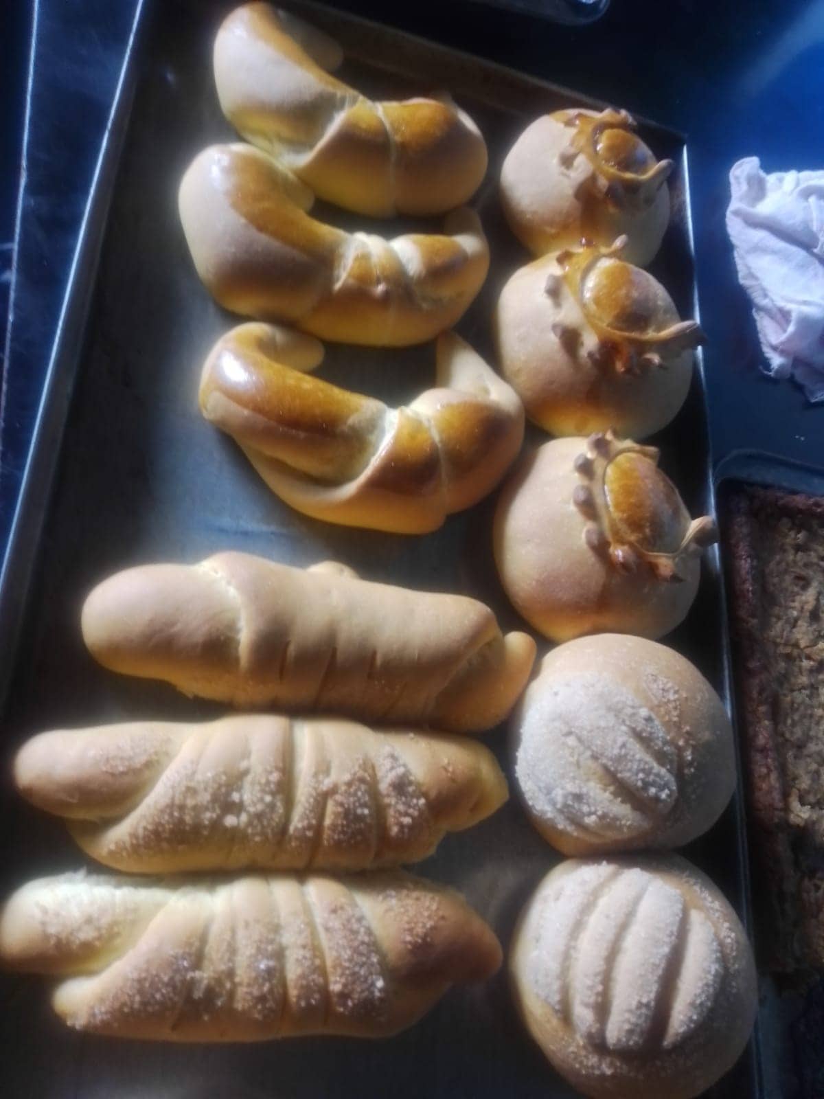 Pan dulce: novia, cacho y gusano