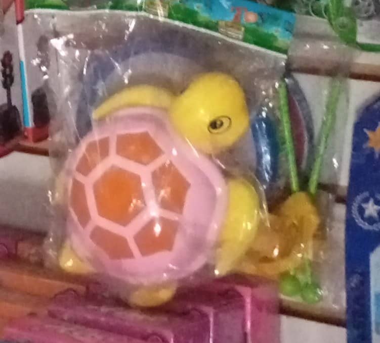 Juguete de tortuga