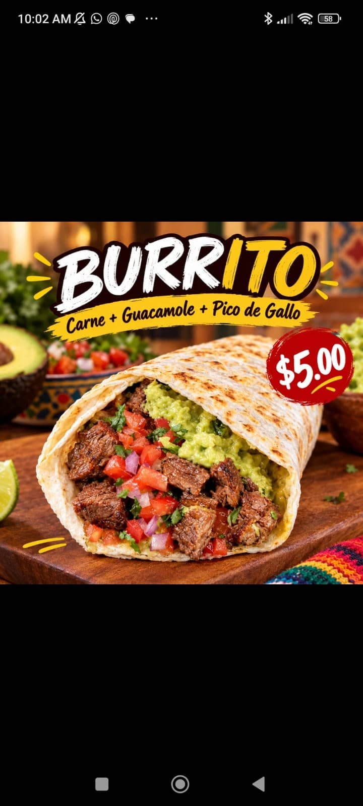 Burrito de Carne