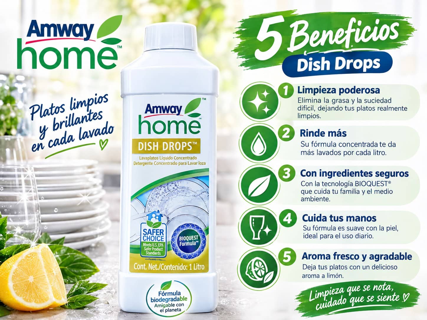 Amway Home Dish Drops