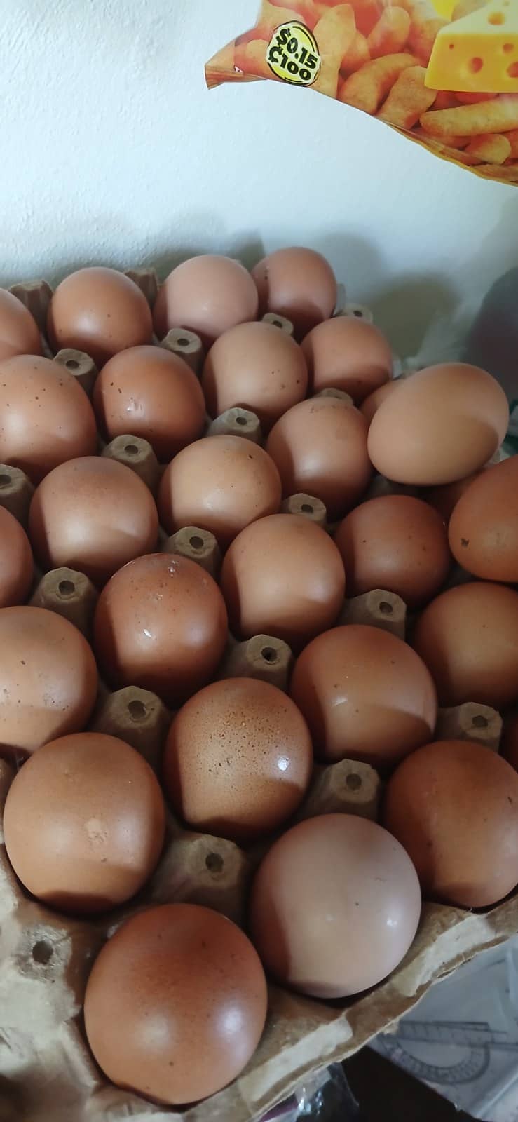 Huevos de gallina