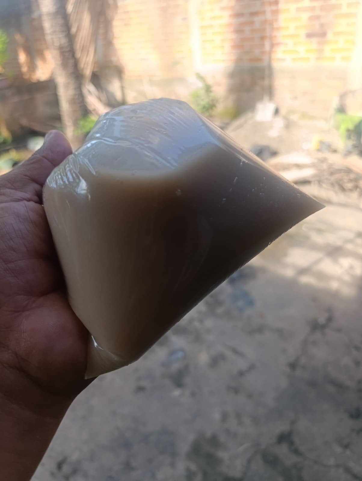 Orchata de morro